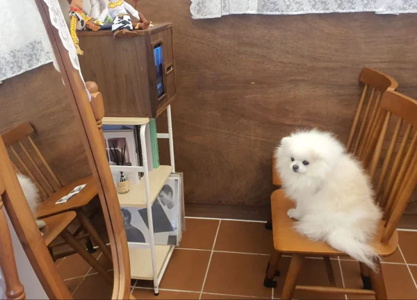 영수증사진기 활용사례 112